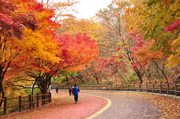 북측산책로(서울시).jpg