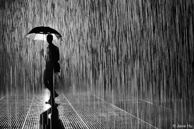 rain-room-nyc-untapped-cities-jane-hu-2.jpg