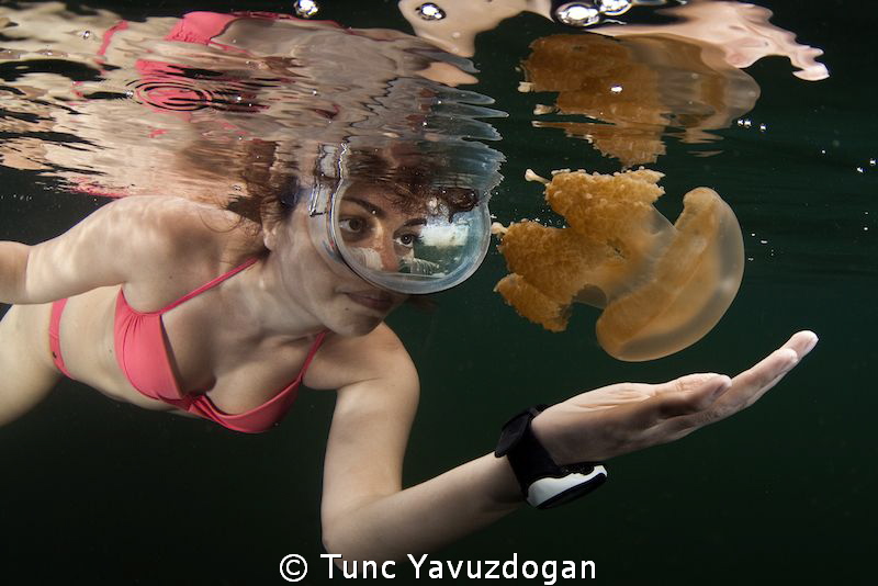 jellyfish-lake-4.jpg